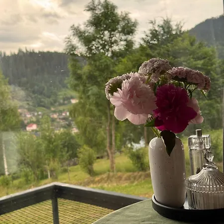 Holiday home Dido House Slavske